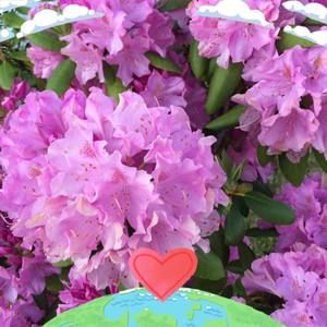 Meet your Posher, Fatma